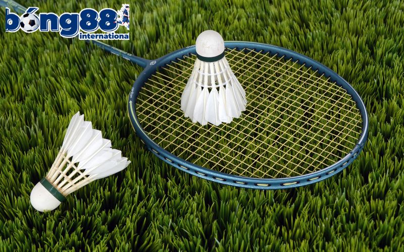 Tổng hợp các giải đấu cá cược cầu lông